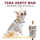 ƥإĥ󡦥ǥåɥ  󥯥ȥå  դ⤳  塼 12464 T̵ۡ