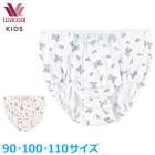 �拾���� ���å� wacoal �����륺 ���硼�� �������硼�� �ѥ�� ���� ȩ�� �Ҷ��� ��100�� ������ 90 100������ 110������ �᡼����6���ޤ� CAX178 ��P��