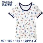 Wacoal �拾���륭�å� BOYS(�˻�) (90��120������)�˻��ȥåס�Ⱦµ�� �ˤλ� ���餫��100�� �᡼����2���ޤ� ������� ���ؽ��� CHV326 ��P��