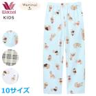 �拾���� Wacoal���å� �˽����� �ѥ���� (10������) ���λ� �ˤλ� �ܥȥॹ �ף�����쥰�롼�� CTY185 ��P��