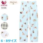 �拾���� Wacoal���å� �˽����� �ѥ���� (6������ 8������) ���λ� �ˤλ� �ܥȥॹ �ף�����쥰�롼�� �᡼����1���ޤ� CTY185 ��P��