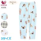 �拾���� Wacoal���å� �˽����� �ѥ���� (3������) ���λ� �ˤλ� �ܥȥॹ �ף�����쥰�롼�� �᡼����1���ޤ� CTY186 ��P��