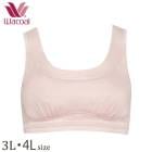 ɲáWacoal Grap ϡեȥå 拾 åԡ åɤäϥåԡ ߥȥå 3L 4L Υ磻䡼֥ 1-2 CHK190 P̵ۡ