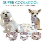 �ԥ�ӥ塼��300�ߥ����ݥ����ե����ѡ������륯���롦�ǥ��ǥ��٥� ������դ� �ڥå��ѥ������� ���� �淿�� �緿�� ���������塼�� 2��-3�� 7266 ��T��