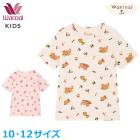 �拾���� ���å� wacoal �ѥ���ޥȥåץ� ñ�� 3ʬµ Ⱦµ �ܿ��䴶 ���� ���֤꥿���� Waninal �˽����� 10 12������ �᡼����1���ޤ� CTY188 ��P��