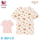 �拾���� ���å� wacoal �ѥ���ޥȥåץ� ñ�� 3ʬµ Ⱦµ �ܿ��䴶 ���� ���֤꥿���� Waninal �˽����� 6 8������ �᡼����1���ޤ� CTY188 ��P��