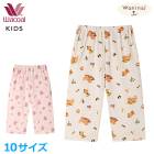 �拾���� ���å� wacoal �ѥ���ޥܥȥ� 7ʬ�� ñ�� �����åץɥѥ�� �ܿ��䴶 ���� �ݥ��å��� Waninal �˽����� 10������ �᡼����1���ޤ� CTY189 ��P��