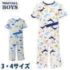 �拾���� Wacoal ���å� BOYS(�˻�) (3��4������)�ѥ���� ��100�� �ˤλ� �˻��ѥ���� ������� ���ؽ��� CBT339 ��P��