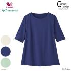 拾 Wacoal 餯饯ѡȥʡ T(ʬµ) LLP DAL403 P