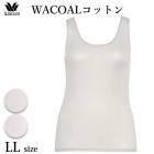 拾 Wacoal ˥åȥȥå WACOALåȥ Ρ꡼ LL ޤǥ ᡼3ޤ ե CLB600 P