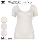 拾 Wacoal ˥åȥȥå WACOALåȥ 3ʬµ ML ޤǥ ᡼3ޤ ե CLC200 P