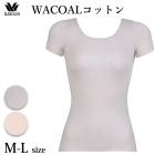 拾 Wacoal ŷʡۣԥĥʡ WACOALåȥ 2ʬµ ML ե꡼åƥ ᡼3ޤ ե CLC249 P