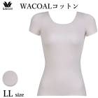拾 Wacoal ŷʡۣԥĥʡ WACOALåȥ 2ʬµ LL ե꡼åƥ ᡼3ޤ ե CLC249 P