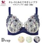 �拾���� Wacoal �ޥ��˥ƥ� ���� ���� ���ѥ֥� ���쥤�ˤߤ��Ƥ䤵�����֥� �磻�䡼������ 3/4���å� ��D���å�) MBY554 ��P��