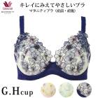 �拾���� Wacoal �ޥ��˥ƥ� ���� ���� ���ѥ֥� ���쥤�ˤߤ��Ƥ䤵�����֥� �磻�䡼������ 3/4���å� ��G��H���å�) MBY554 ��P��