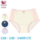 拾 Wacoal 硼(120130140) ܡ󥰥 졼 ᡼3ޤ  ؽ CAX147 P