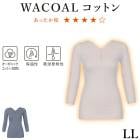 拾 Wacoal LL Wacoal ää꥿ ǥ 8ʬµ ˥å äʡ Vͥå ݲ Ĺµ ᡼2ޤ CLD341 P