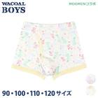 Wacoal �拾���륭�å� MOOMIN����� �ࡼ�ߥ� BOYS(�˻�) (90��120������)�˻��ܥȥ�ʥܥ������� �ˤλ� ��100�� �᡼����3���ޤ� CPS215 ��P��