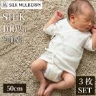 ���륯100�� �٥ӡ�ûȩ�� �������� 50cm �٥ӡ�ȩ�� ������ ������ȩ�� ��100�� ��ǯ�Ǻ� �Ҵ�ȩ ɳ ���륯�ޥ�٥꡼ �᡼����2���ޤ� B72102-503���ȡ�L��