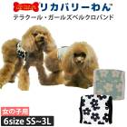 ���������塼�� 2026 �� ���� �ƥ饯���� �����륺�٥륯���Х�� SS-3L������ ����ʢ���� ���λ� �뤵�к� Ǯ����к� 2��-3�� 7346 ��T�ۡ�����̵����