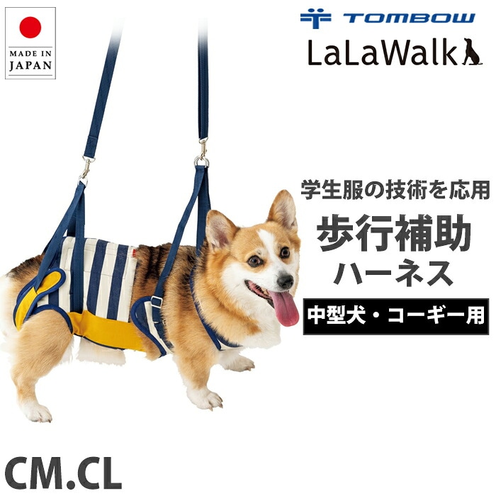 �ԥ�ӥ塼��300�ߥ����ݥ����եȥ�� ��饦������ �淿���� ���������� �������ϡ��ͥ� LalaWalk ������� ����ѥϡ��ͥ� 2TC0026-85 ��B�ۡ�����̵����