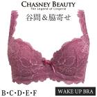 �����֥� �� �������ˡ��ӥ塼�ƥ��� CHASNEYBEAUTY WAKE UP BRA �����������åץ֥� SOFIA ���ե��� 3/4���å� CB3182/FJ3 ��A�ۡ�����̵����