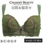 �����֥� �������ˡ��ӥ塼�ƥ��� CHASNEYBEAUTY WAKE UP BRA �����������åץ֥� FIONA �ե����� 3/4���åץ֥饸�㡼 �����֥� CB3172/151 ��A�ۡ�����̵����