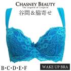 �����֥� �������ˡ��ӥ塼�ƥ��� CHASNEYBEAUTY WAKE UP BRA �����������åץ֥� KATE ������ 3/4���åץ֥饸�㡼 �����֥� CB3175/151 ��A�ۡ�����̵����