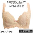 �����֥� �������ˡ��ӥ塼�ƥ��� CHASNEYBEAUTY WAKE UP BRA �����������åץ֥� EMILY ���ߥ꡼ 3/4���åץ֥饸�㡼 �����֥� CB3180/151 ��A�ۡ�����̵����