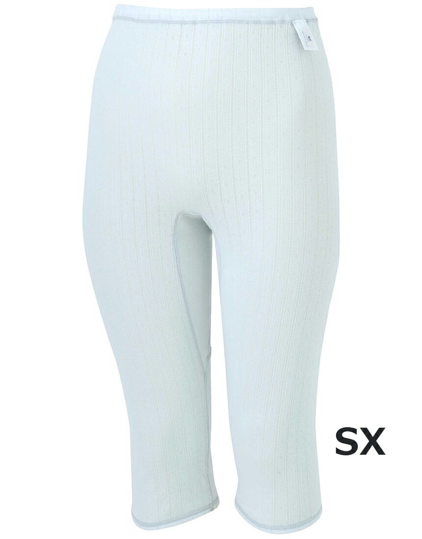 �拾���� Wacoal �餯�饯�ѡ��ȥʡ� �ܥȥॹ(�Ҥ�����) (LL������)�ô���Ф��ѥ�� ��������100�� DPL445��˥塼���뾦�� �᡼����1���ޤ� DPL455 ��P��