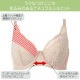 �嶻�ˤ䤵�����ե��åȥե륫�åץ֥� �拾���� (D90 D95 E90 E95) Wacoal Ever Chic ���С����å�BRB284�����ؤ� �᡼����1���ޤ� BXC304��P��