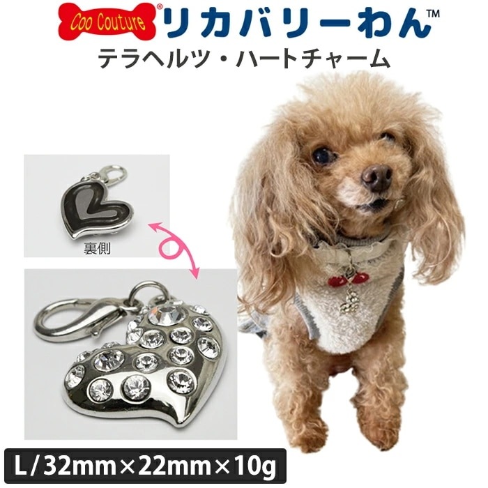レビューで300円クーポン進呈》テラヘルツワン・ハートチャーム L