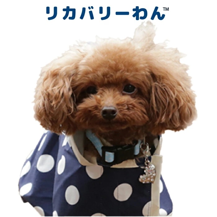 犬服・アクセサリー kurikuri 犬服・アクセサリー kurikuri SESAME STREET（セサミストリート） 犬