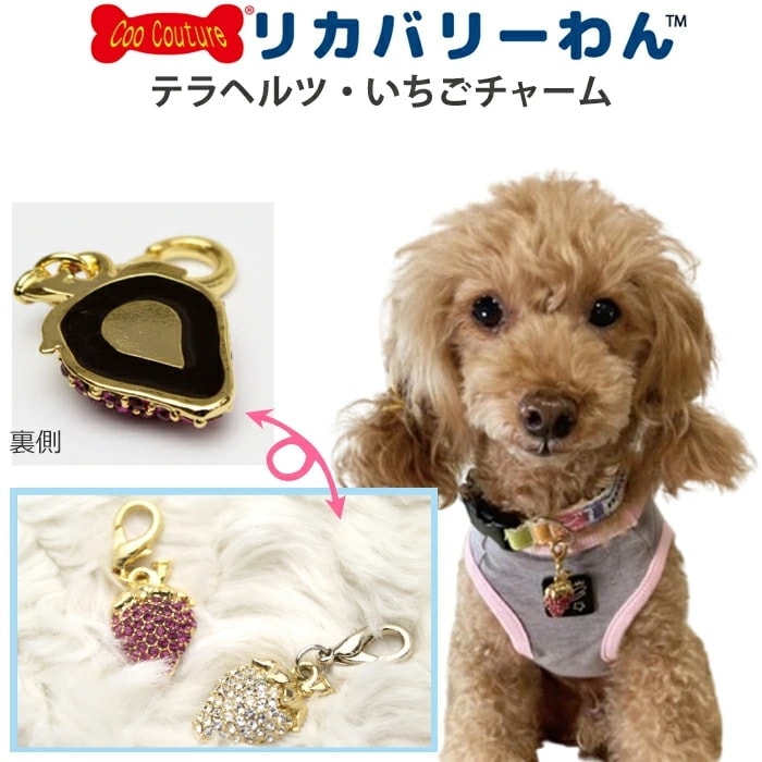ネックレス 首輪 犬 キラキラ いちご 犬 犬用品 あろ ペット ペット  