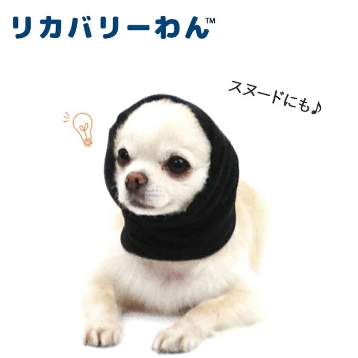 犬リカバリーグッズ 爆売れ人気商品! テラヘルツ・ワンニャンテラ