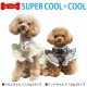 �����ѡ�������ߥ����롦�ǥ��������� ������˭�� ���� ������ ���ԡ��� �ڥåȥ����� ���� ������ ƹĹ������ ������ ���������塼�� 1��-2�� 12472 ��T��