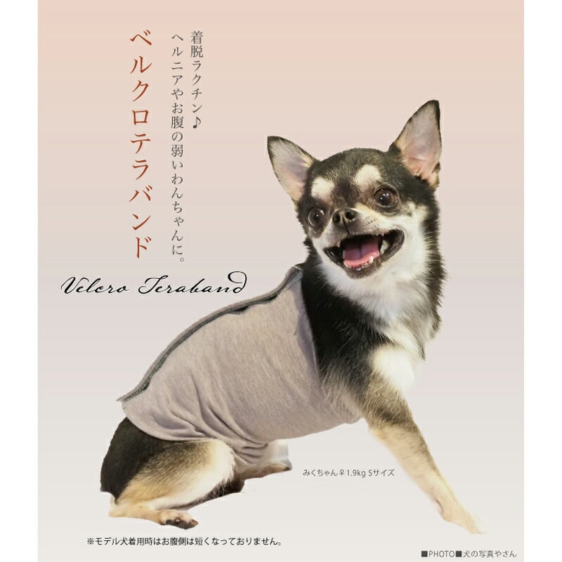 レビューで300円クーポン進呈》テラヘルツワン・ベルクロテラ