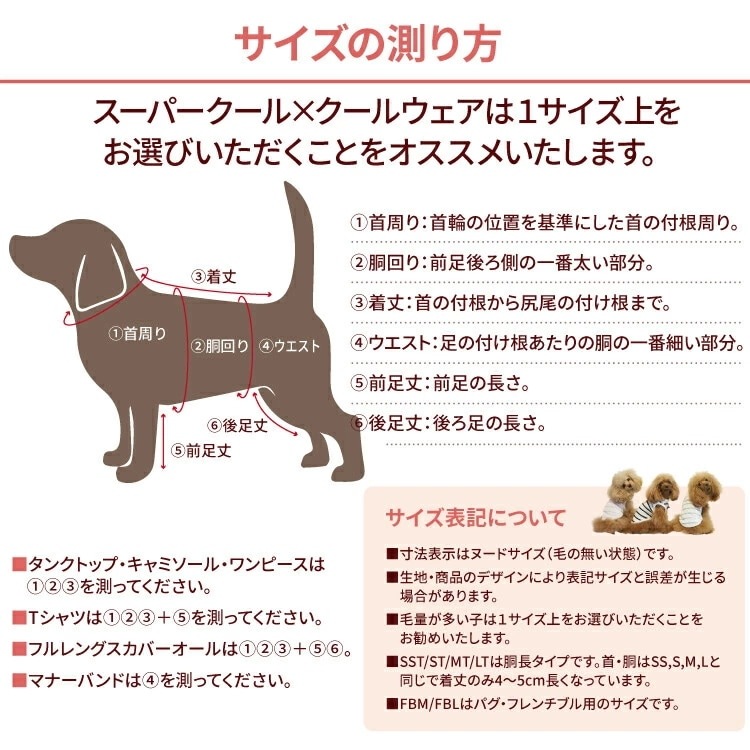�����ѡ�������ߥ����롦�٥��ȥե��ɥ��� ������ ������˭�� ���� ������ ���󥯥ȥå� ���� Ķ������ ������ ������ ���������塼�� 1��-2�� 12474 ��T��