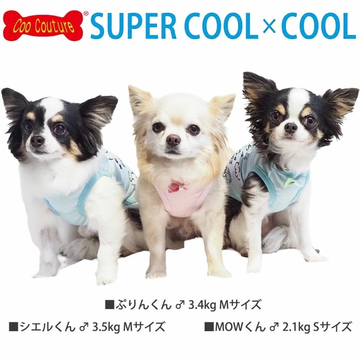 �����ѡ�������ߥ����롦�٥��ȥե��ɥ��� ������ ������˭�� ���� ������ ���󥯥ȥå� ���� Ķ������ ������ ������ ���������塼�� 1��-2�� 12474 ��T��