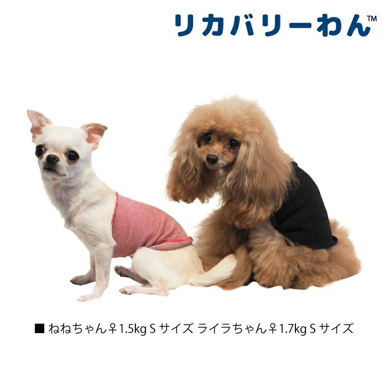 リカバリーわん(旧テラヘルツワン)シルク腹巻 犬腹巻き 犬用秋冬用