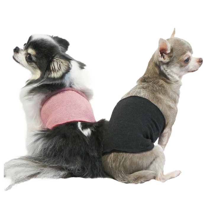 リカバリーわん(旧テラヘルツワン)シルク腹巻 犬腹巻き 犬用秋冬用