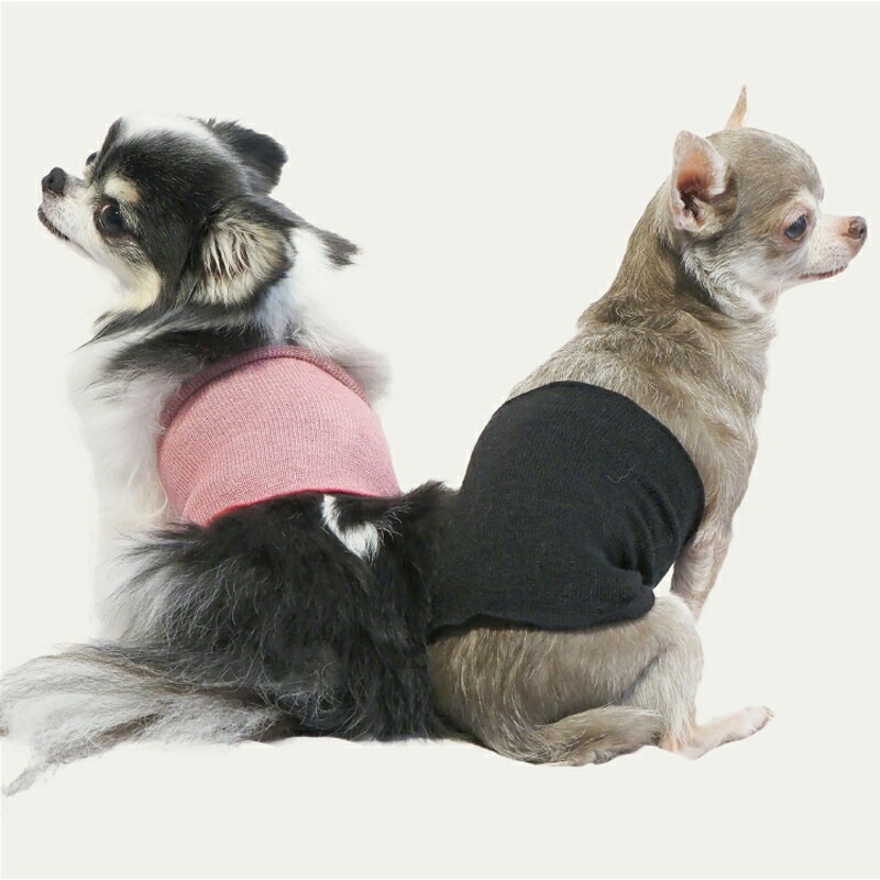 hima cafe テラヘルツ × STEP EQT歩けるくん グレー 腹巻 公式】歩ける