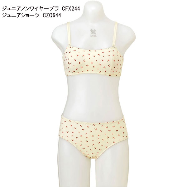 �拾���� Wacoal ����˥��Υ�磻�䡼�֥� (2S��S��M)�Υ�磻�䡼 ���λ� ���֤꥿���� ���ƥå�2 �ե����꡼�ƥ����� �᡼����1���ޤ� CFX244 ��P��