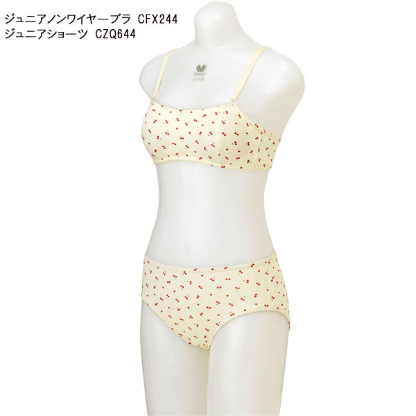 �拾���� Wacoal ����˥��Υ�磻�䡼�֥� (2S��S��M)�Υ�磻�䡼 ���λ� ���֤꥿���� ���ƥå�2 �ե����꡼�ƥ����� �᡼����1���ޤ� CFX244 ��P��
