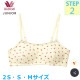 �拾���� Wacoal ����˥��Υ�磻�䡼�֥� (2S��S��M)�Υ�磻�䡼 ���λ� ���֤꥿���� ���ƥå�2 �ե����꡼�ƥ����� �᡼����1���ޤ� CFX244 ��P��
