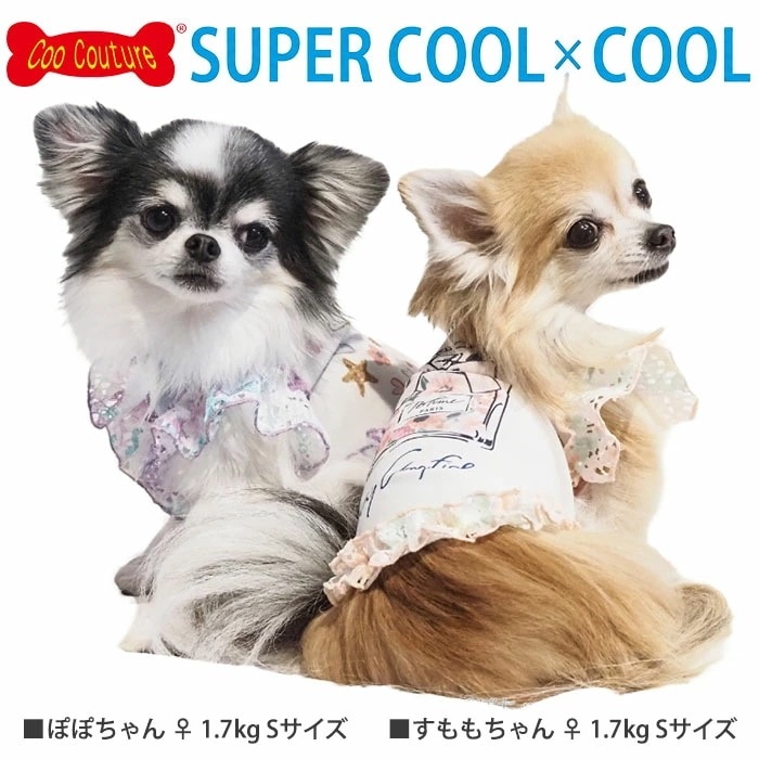 �����ѡ�������ߥ����롦�ե����ꥢ���� ���������塼�� ���� ������ ������˭�� �ڥåȥ����� ���� ������ �淿�� ���˥��� ������ 1��-2�� 12478 ��T��