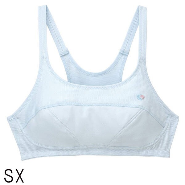  Wacoal ˥֥饸㡼 ݡĥ֥ (Aå/Bå) ƥå3 ᡼1ޤ  ؽ CFX337 P