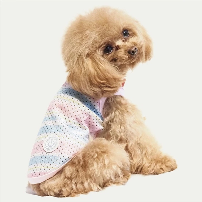 �ƥ饯���롦�������ܡ��������� �礭�������� ���� ���󥯥ȥåײ��� �淿�� �緿�� ���˥��� ������ ���������塼�� �ꥫ�Х꡼������ 1��-2�� 12483 ��T��