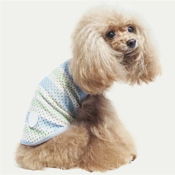 �ƥ饯���롦�������ܡ��������� �礭�������� ���� ���󥯥ȥåײ��� �淿�� �緿�� ���˥��� ������ ���������塼�� �ꥫ�Х꡼������ 1��-2�� 12483 ��T��