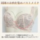 �������ˡ� CHASNEY(��������ˡ��ӥ塼�ƥ���)  WAKE UP BRA �����������åץ֥� ELENA ����� �����֥� 3/4���åץ֥饸�㡼 C2611 ��A�ۡ�����̵����